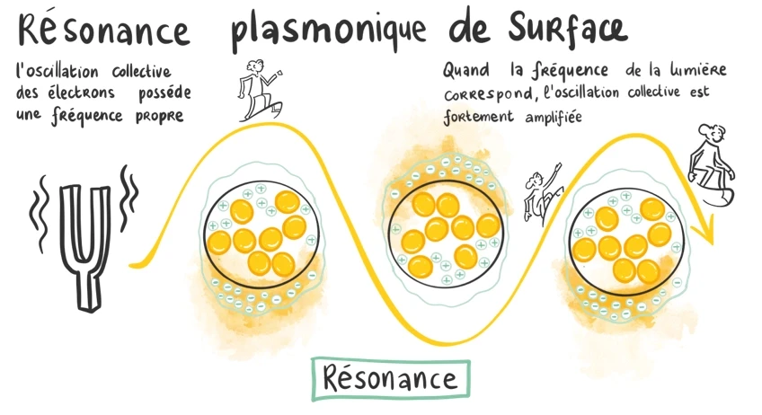 Schéma de la résonance plasmonique de surface : la fréquence de la lumière rejoint celle des électrons, comme un diapason
