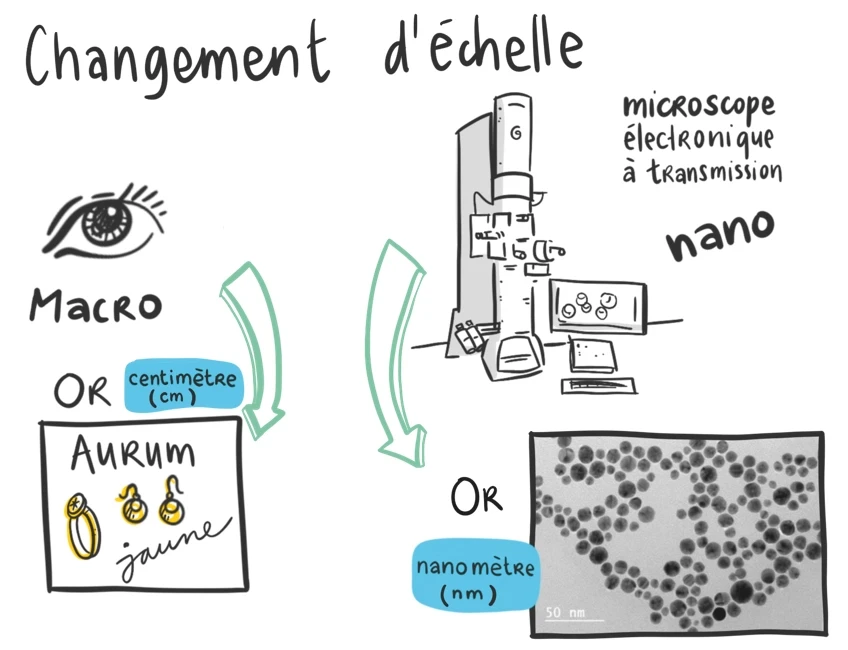 Schéma du changement d’échelle : l’or à l’œil nu (centimètres) et au microscope électronique (nanomètres)