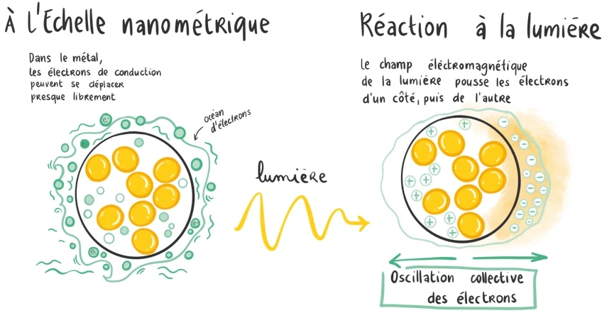 Schéma d’une nanoparticule d’or réagissant à la lumière : oscillation collective de ses électrons