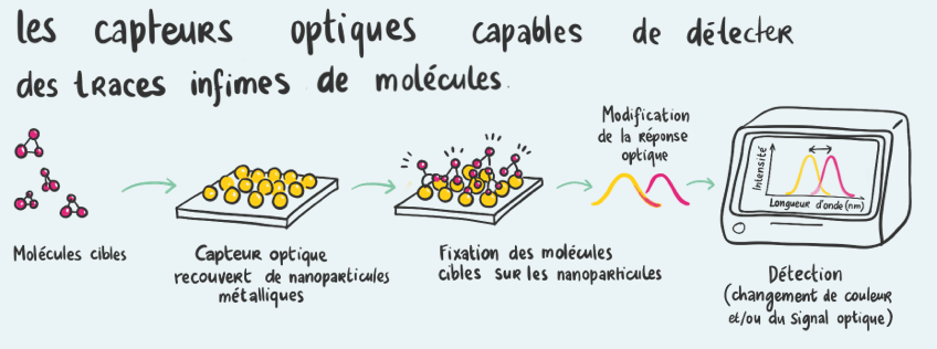 Schéma d’un capteur optique à nanoparticules métalliques qui détecte des traces de molécules cibles